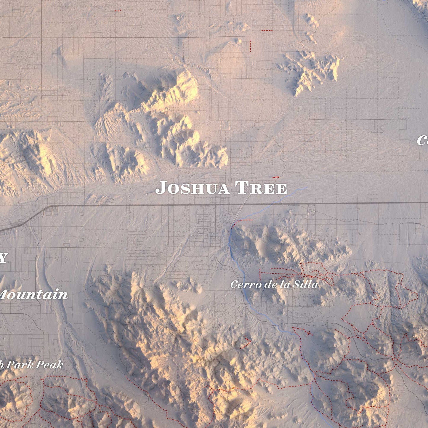 Joshua Tree Region