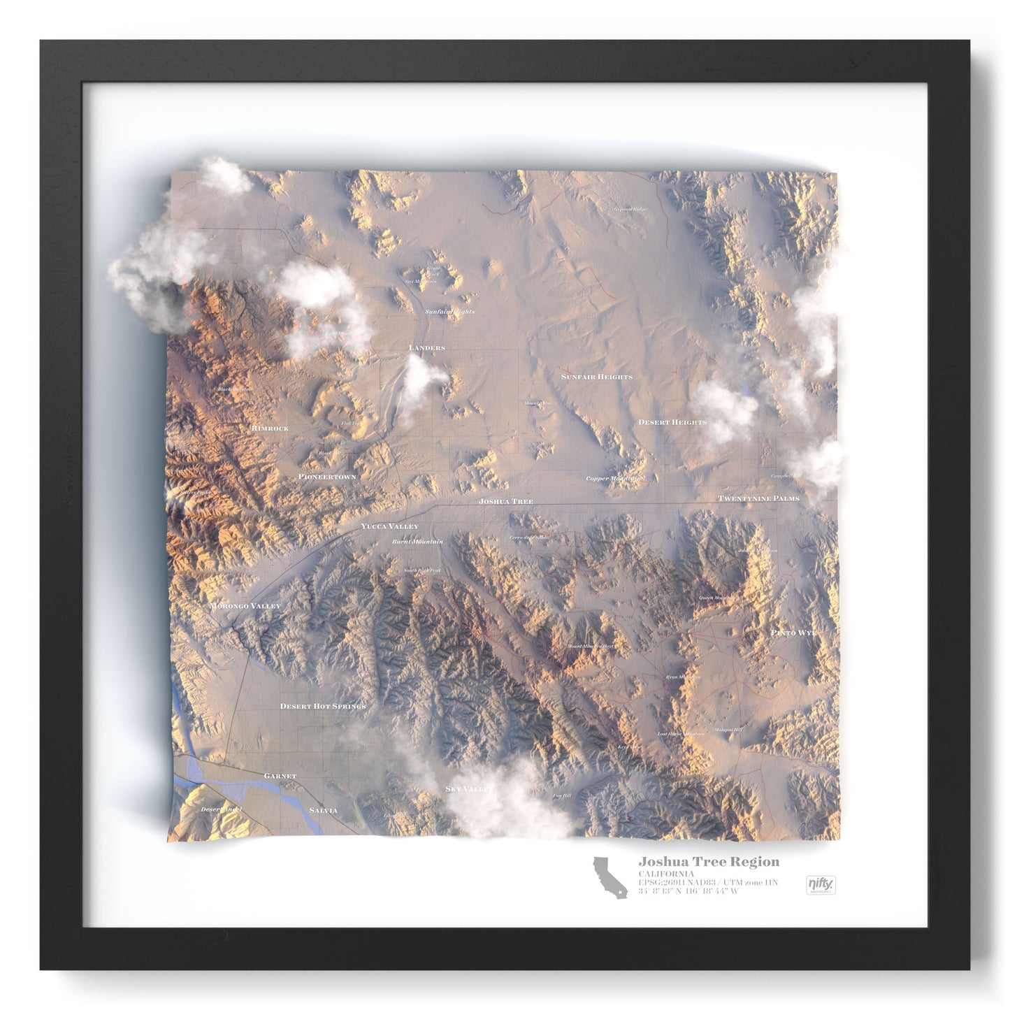 Joshua Tree Region