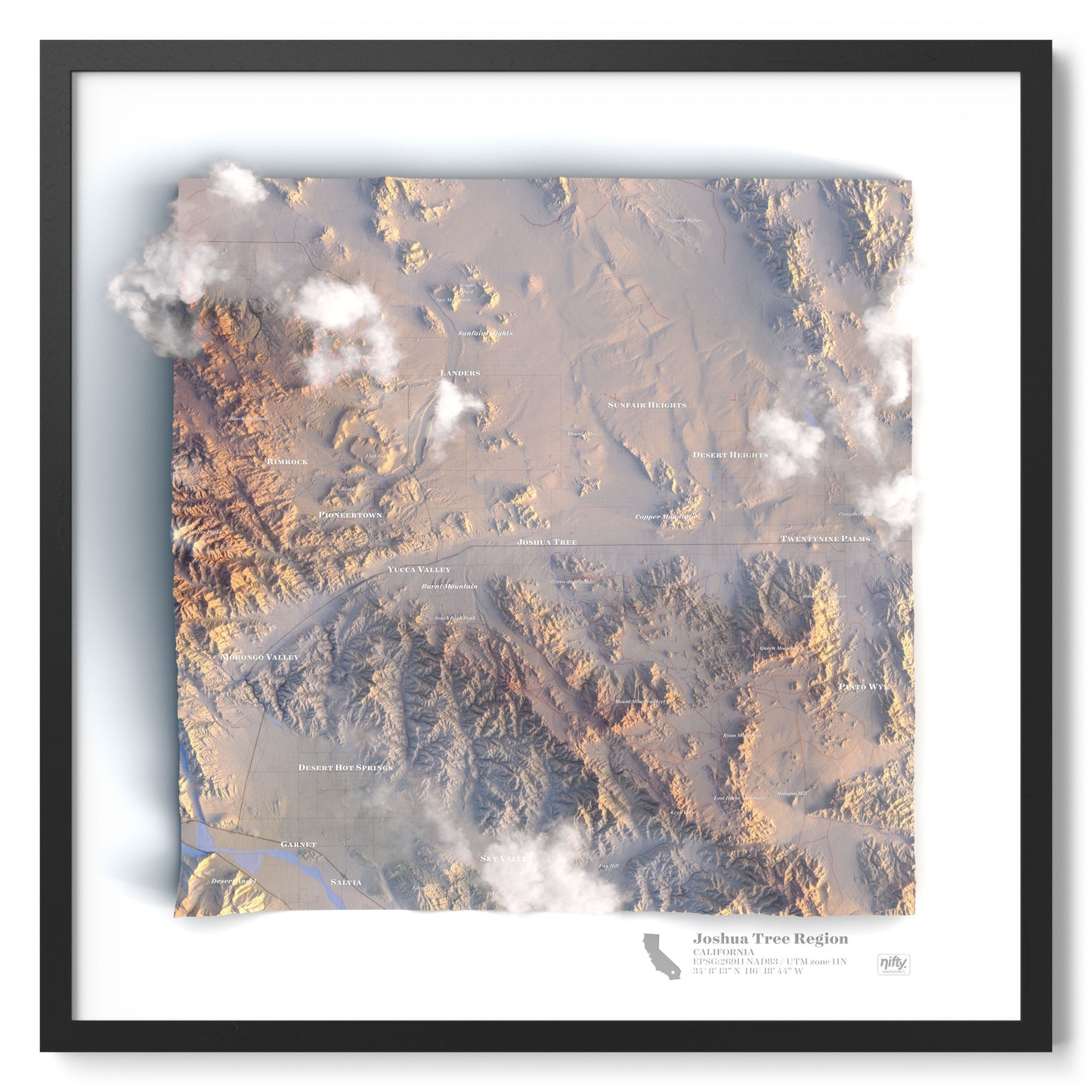 Joshua Tree Region